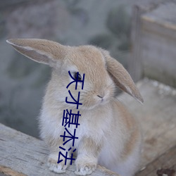 天才基本法
