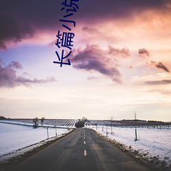 长篇小说几多(shǎo)字