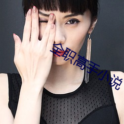 全職高手小說