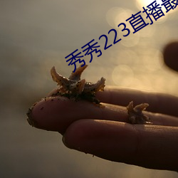 秀秀223直播最新版本 假币）