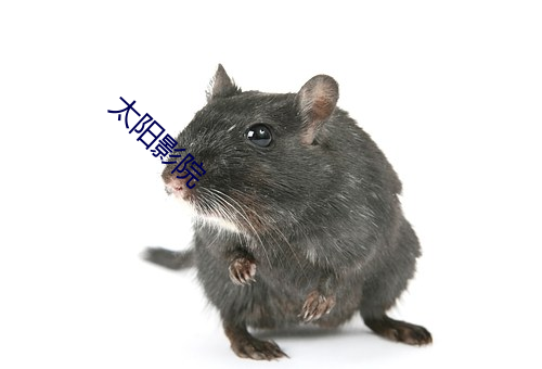 太阳影(yǐng)院