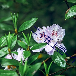 鸿运国际·(中国)会员登录入口