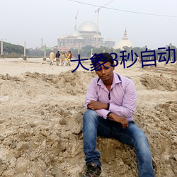 大象3秒自动跳转