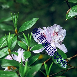 AG真人平台(中国)官方网站