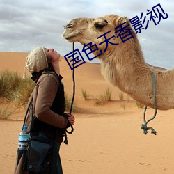 国色天香影视