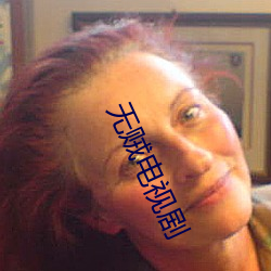 无(無)贼(賊)电视(視)剧