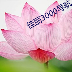 佳(佳)丽3000导(導)航