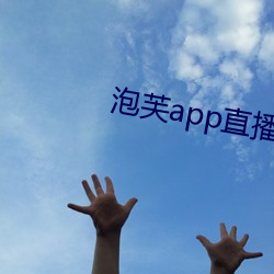 泡芙app直(zhí)播下载装置