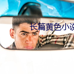 長篇黃色小說