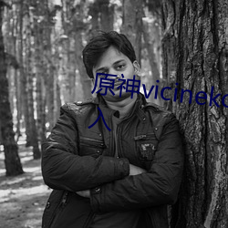 原神vicineko资(zī)源最(zuì)新入口怎么进入