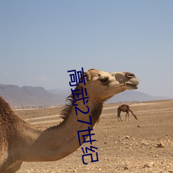 高武27世纪