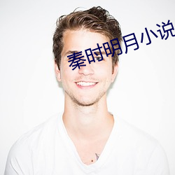秦时(時)明(明)月小说