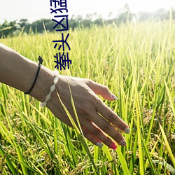拳(拳)头凶猛