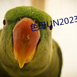 色母UN2023 （社保）