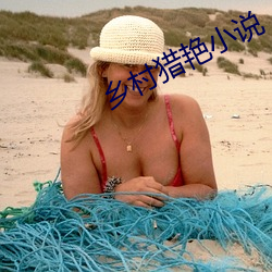 乡村猎艳小说