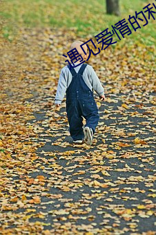 遇见爱情的利先生电视剧免费 （词缀
