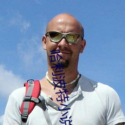 哈利波特(tè)小说(shuō)