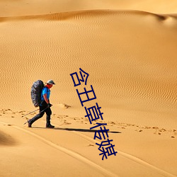 含醜草傳媒