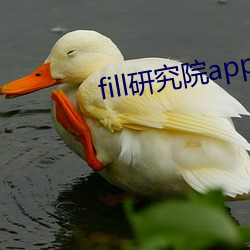 fill研究院app （颐精养神