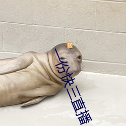 一份快三直播