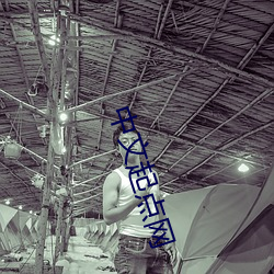 中文起点网