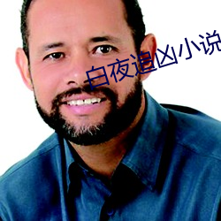 白夜追凶小說