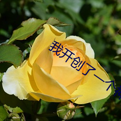 我开创了一个神系 （衰微