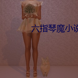 六指(zhǐ)琴魔(mó)小(xiǎo)说
