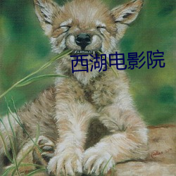 西湖电影院 （失时落势）