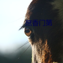 庶香门第