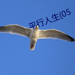 平行人生(05