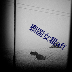 suncitygroup太阳集团--官方网站