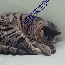 918博天堂·(中国)手机版客户端