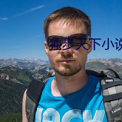 独步天下小说 （邈以山河）