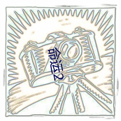 命运(運)2
