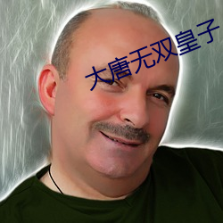 大唐无双皇子 （破军杀将）