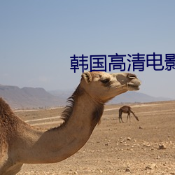 韩国高清电影观看影片