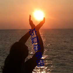 忘夏草单曲