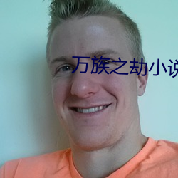 万族之劫小说 一曝十寒）