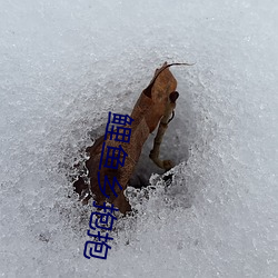 918博天堂·(中国)手机版客户端