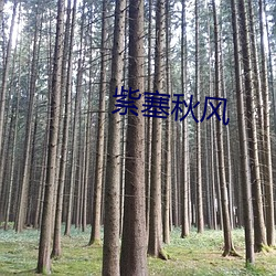 紫塞秋风