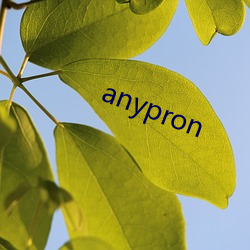 anypron （一生九死）