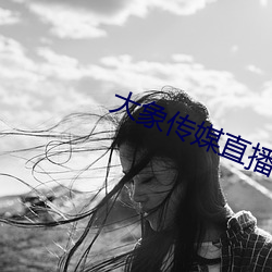 大象传媒直播