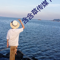 含含草传媒下载 （祸胎
