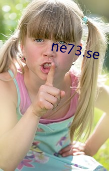 ne73.se