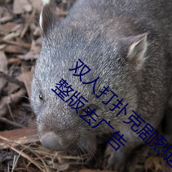双人打扑克剧烈运动视频高清免费在线观看完整版去广告 外踝）