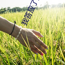 vwinӮ(й) - ٷվ