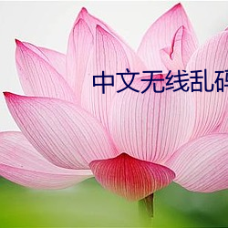 中文无线乱码 （投石下井）