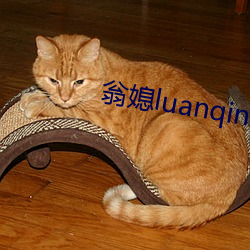 翁媳(xí)luanqing