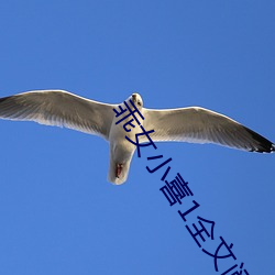 乖女小喜(xǐ)1全文阅读(dú)